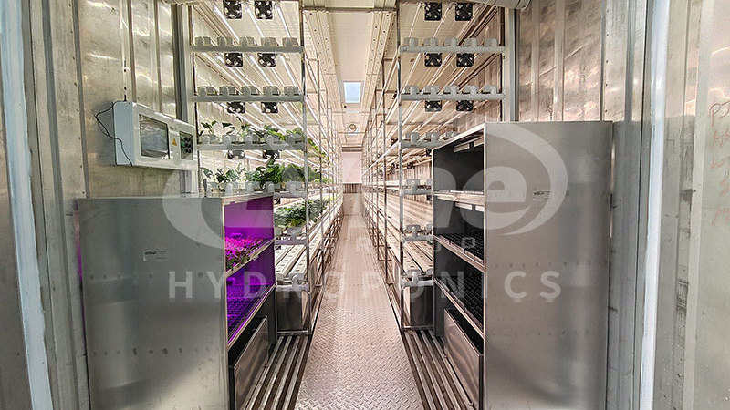 Lyine Agricultural Greenhouses Hydroponic Grow Container System Vertical Farming Hydroponic Shipping Container Farm