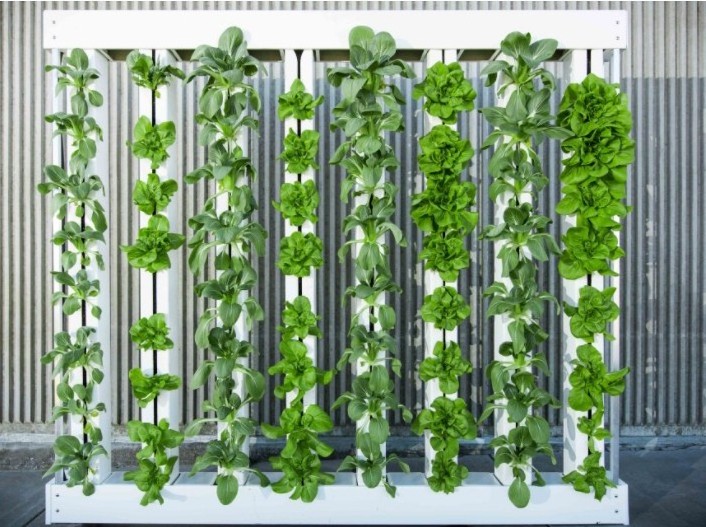 Lyine Commercial Vertical Planting Zip Grow Hydroponic Tower Growing System for Greenhouse