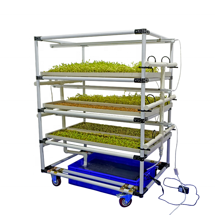 Smart Farm 3-1 Hydroponic Microgreen Planting Trays Plastic Pvc Plastic Packaging Microgreens Tobacco Seedling Tray