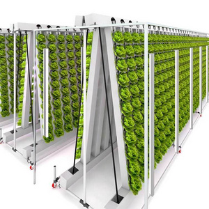 Lyine Commercial Vertical Planting Zip Grow Hydroponic Tower Growing System for Greenhouse