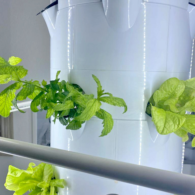 hidroponicas systems aeroponic lettuce grow tower farm greenhouse  outdoor planter tool kit hydroponic indoor vegetable garden