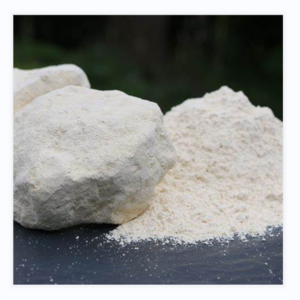 Biological Calcium Carbonate Caco3 CAS 13397-25-6 White Powder Food Grade Powder Chalk Calcium Bicarbonate 