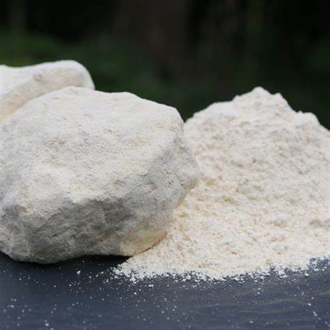 Biological Calcium Carbonate Caco3 CAS 13397-25-6 White Powder Food Grade Powder Chalk Calcium Bicarbonate 