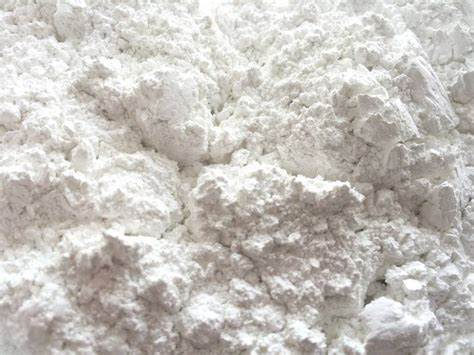 Biological Calcium Carbonate Caco3 CAS 13397-25-6 White Powder Food Grade Powder Chalk Calcium Bicarbonate 