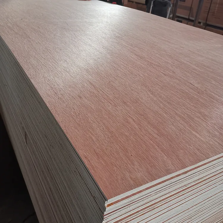 18mm 12mm commercial plywood Bintangor Okoume Pine Pencil Cedar veneer