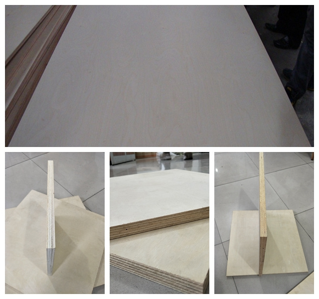 4 x 8 birch plywood furniture 12mm 15mm 18mm   birch plywood