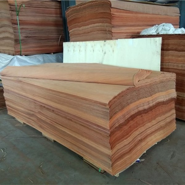 Good Price Plb Face Veneer Rotary Cut Plywood Veneer