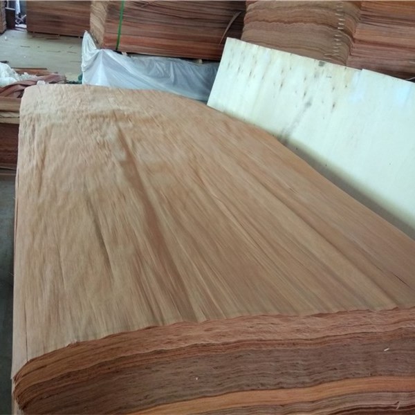 Good Price Plb Face Veneer Rotary Cut Plywood Veneer