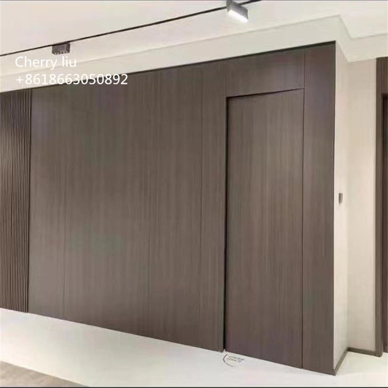 frameless doors flush hidden bedroom modern security cheap room exterior swing door design