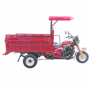 Petrol Tricycles Moto Taxi 3 Wheel Gas Powered Motorcycles