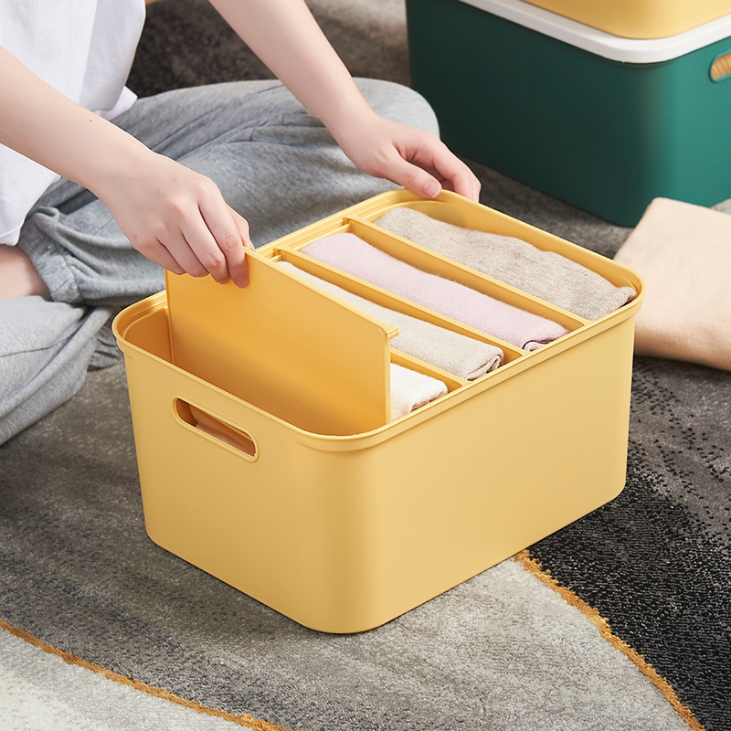 Compartment Portable Plastic Wardrobe Organizer Storage Box With Cover