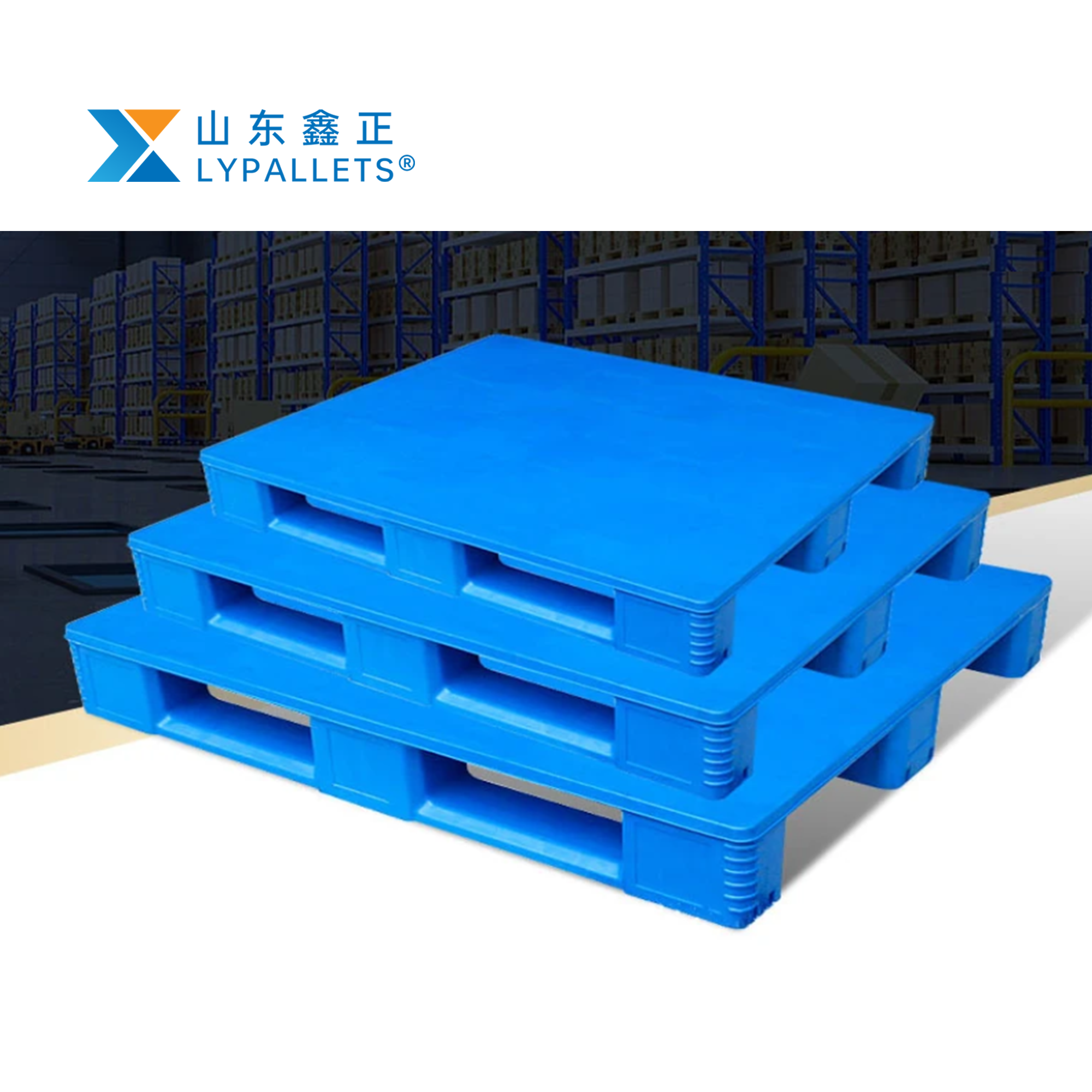 HDPE Heavy Duty 1200 x 1000 mm Plastic Pallet for Food Pharmaceutical Industry Hygienic Steel Warehouse Pallet