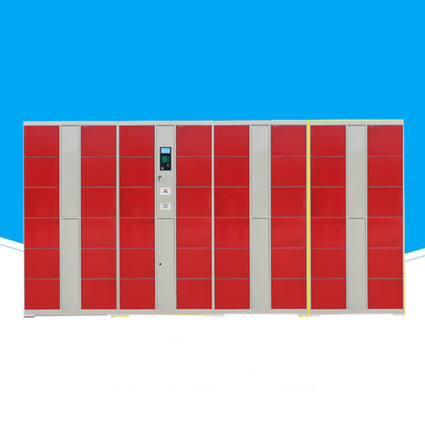 SW-EL01  APP Control Electronic Smart Beach Locker