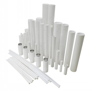 OEM PE filter rod/tube/disc/tablet design HDPE polythene PE powder material 1 5 10 microns sinter filter PE