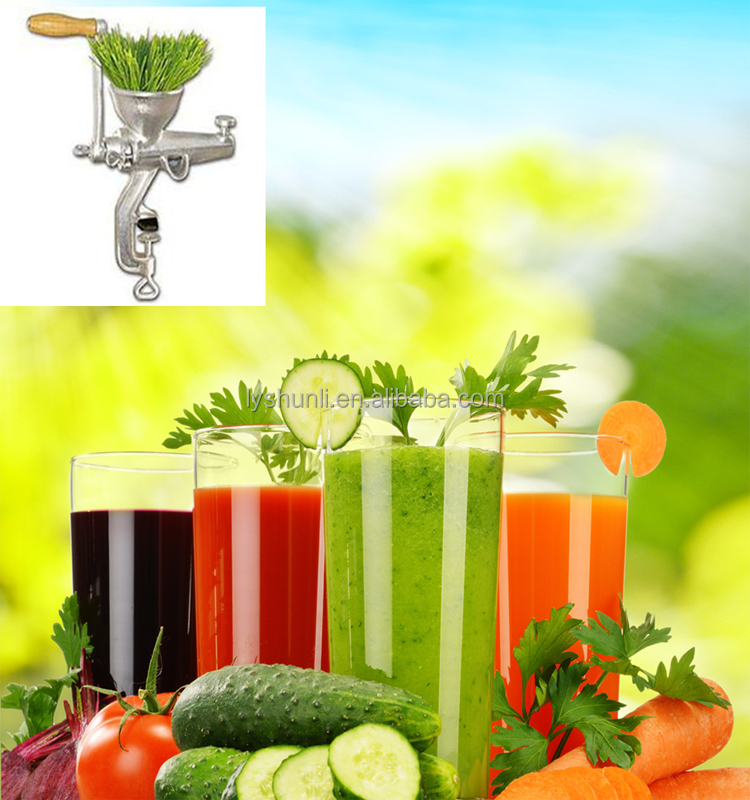 Economic hand crank vegetable and fruit juicer/wheat grass juicer with high quality