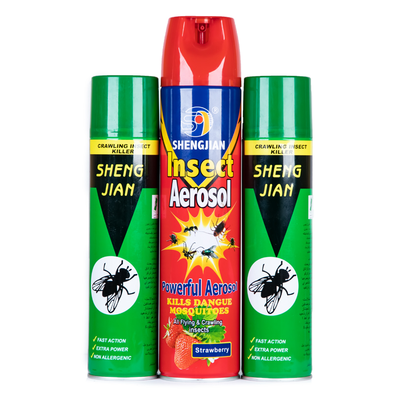 Household Insecticide Spray Insect Killer Bed Bug Cockroach Killer