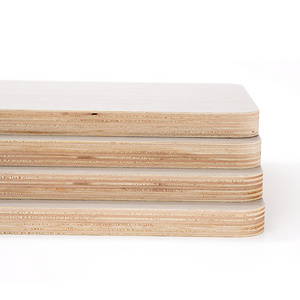 12Mm Both Sides White Melamine Faced Poplar Plywood /Die Board Prices