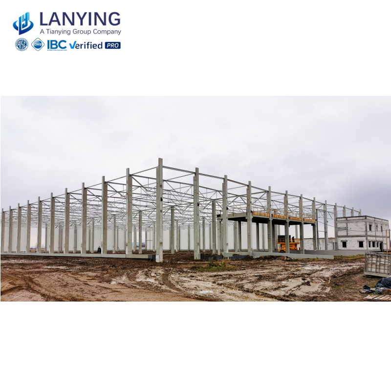 Metal Structure Steel Frame Warehouse / Fabrication Space Construction /Steel Workshop