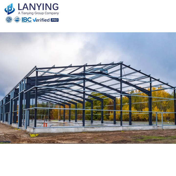 Steel Structure Warehouse with High Quality /Steel Structure Parking Lot/Workshop