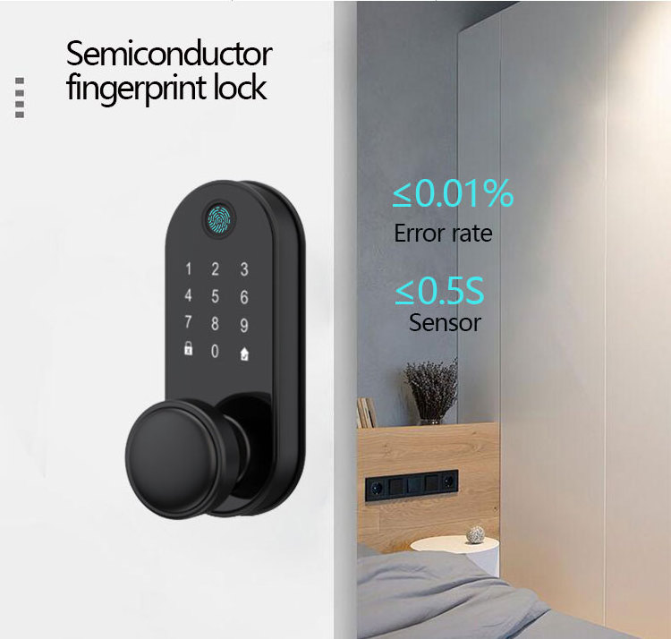 Popular Design Zigbee Tuya WiFi Digital Door Lock Code RFID IC Card APP Unlock Biometric Fingerprint Smart Lock