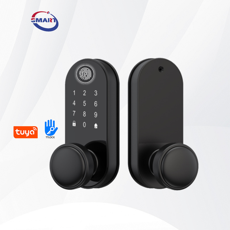 Popular Design Zigbee Tuya WiFi Digital Door Lock Code RFID IC Card APP Unlock Biometric Fingerprint Smart Lock