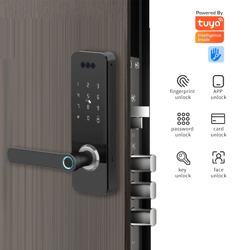 wholesale Electronic Cat Eye wifi Tuya App Peephole Door Lock Fingerprint Camera code Smart Door Lock