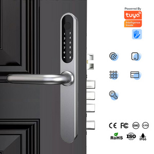 European Standard Door Lock Digital Door Lock Wifi Waterproof Tuya Ttlock App Smart Door Lock