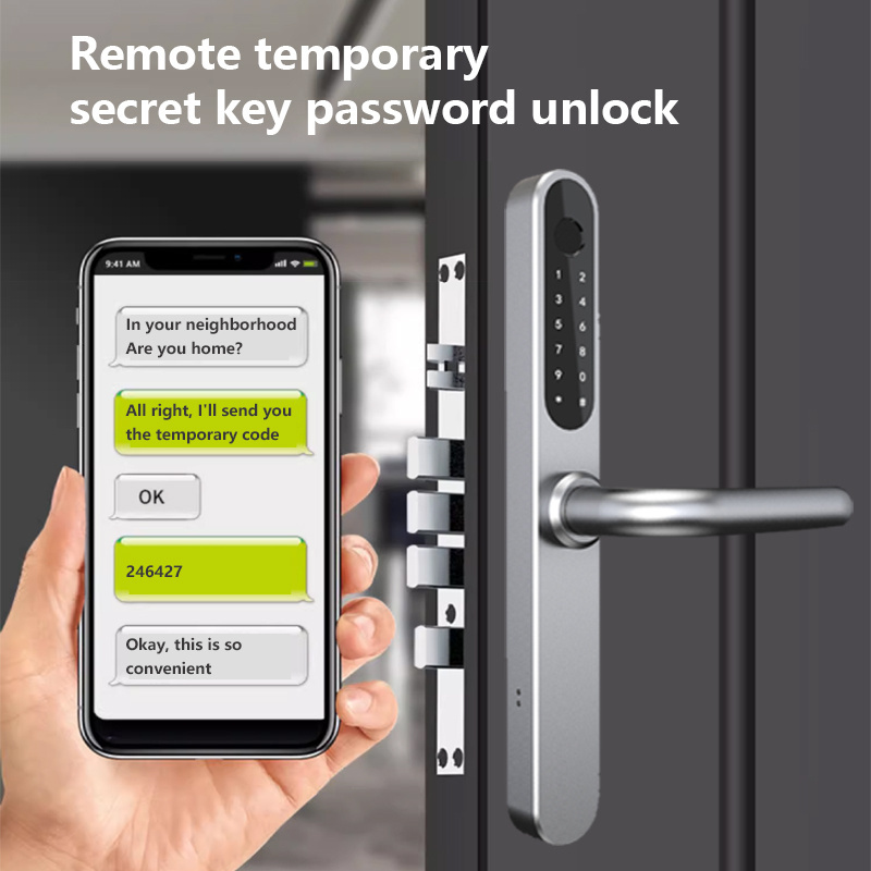 European Standard Door Lock Digital Door Lock Wifi Waterproof Tuya Ttlock App Smart Door Lock