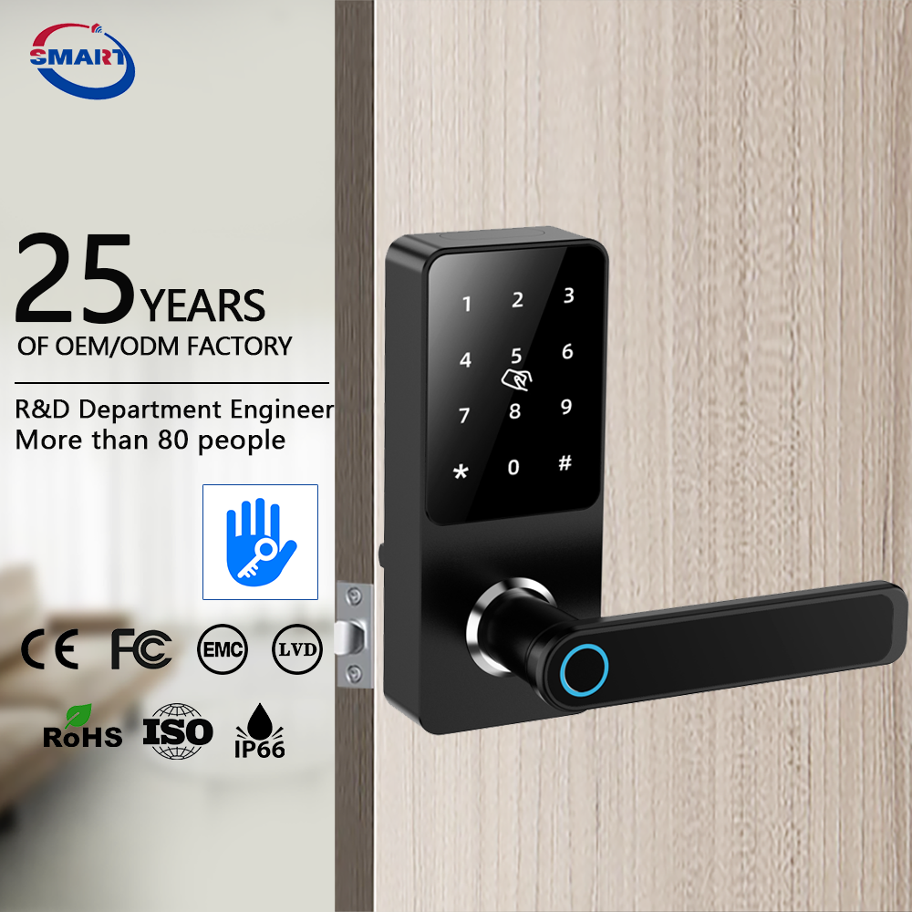 Waterproof Outdoor TT Lock App Combination Inteligentes Security Locks Front Smart Home Door Lock