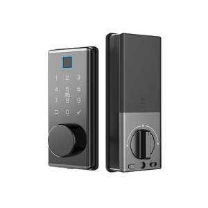 Hot Selling Customizable American Fingerprint Smart Door Lock Hotel Apartment System Indoor Panel Door Smart Locks