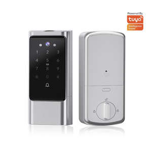 Electronic Intelligent Security Locks For Doors Gate Lock Outdoor Smart Password Tuya Home Smart Door Lock