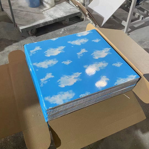 factory hot sale sky designs pvc plastic drop ceiling panel suspended ceiling tiles 595 603 China manufacturer