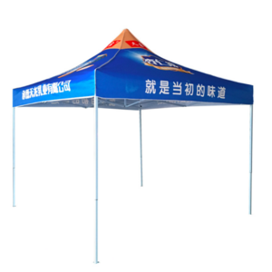 Newest outdoor car vehicle tent umbrella canopy 10 x 10 custom trade show tent