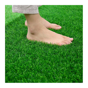 China professional cheap sports artificial grass used for soccer lawn grass seed