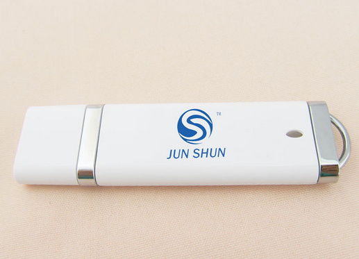 Custom Logo USB Memory Stick 8GB 16 GB USB Flash Driver Plastic High Speed Usb3.0 Stick for Present