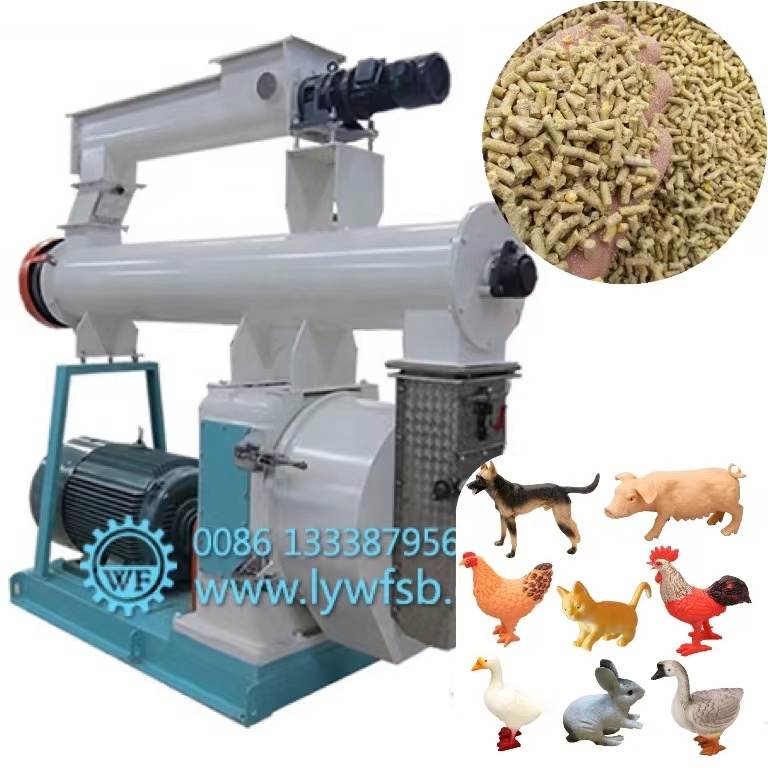 CE Industrial Biomass fuel heating boiler with water system pellets machines for animal feed chicken