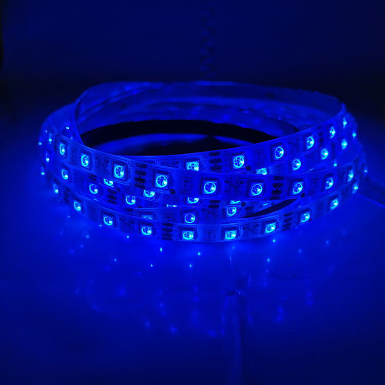 16.4ft 5M 60 Leds/m SMD 5050 RGB LED Light Strip 12V Waterpoof IP65 IP20 Color Changing Tape Light luces LED RGB Light Strip