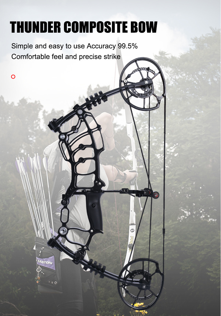 High Quality Compound Speed Bow China Hunting Compound Bow