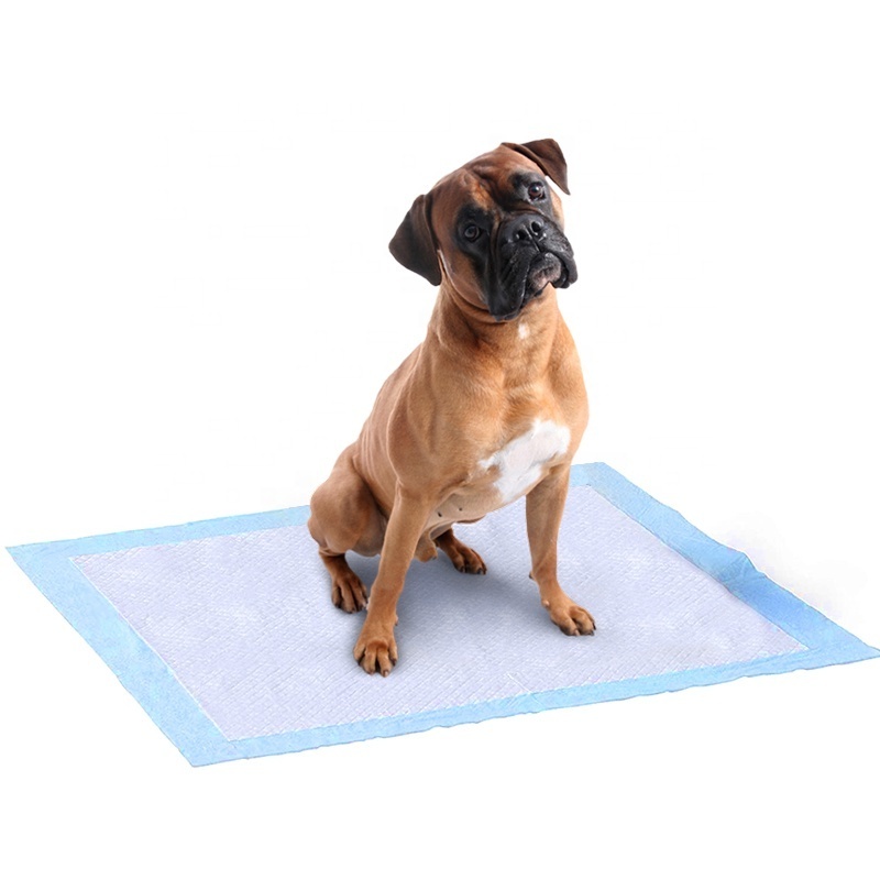 Super Absorbent Deodorant Thickening Puppy Dog Training Pads Disposable Absorbable Pet Pee Pad Diaper