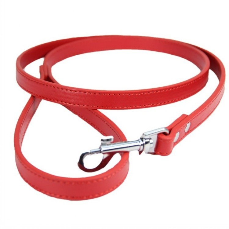 Explosive New Products Outdoor Walking Training Dog Leash Adjustable  Waterproof PU Color Pet Dog Leash