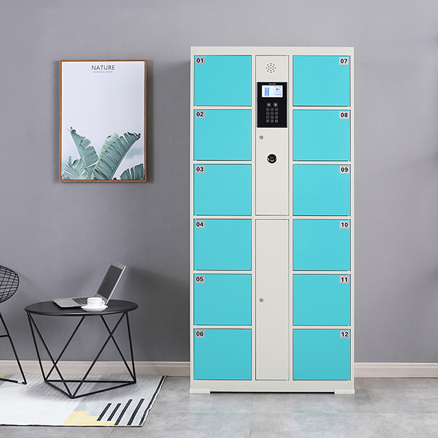 Widely used smart electronic locker for luggage storage cabinet automatic beach locker