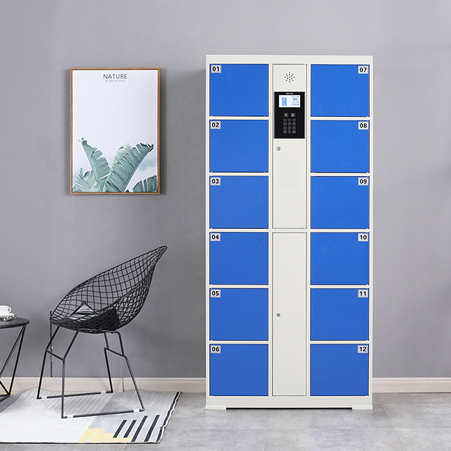 Widely used smart electronic locker for luggage storage cabinet automatic beach locker