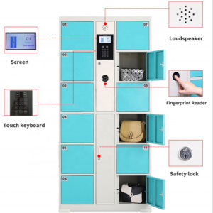 customized small intelligent electronic locker steel Fingerprint beach cabinet smart system digital metal gym locker