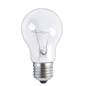 Light Bulb Clear OR  Frosted Incandescent Lamp INC A55 B22 E27 2700K Vintage Hot Sales A55 A60  25W 40W 60W 75W 100W 110V 220V