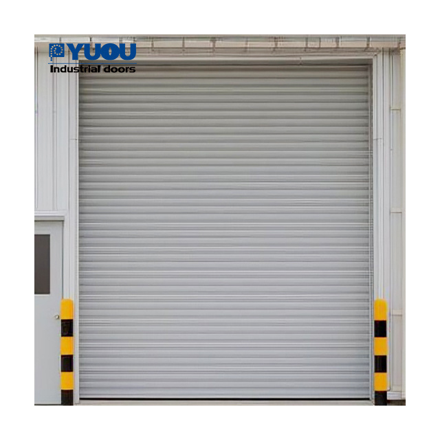 Colorful and Strong Roller Shutter Durable Vertical Roll Down Hurricane roll up Garage Doors