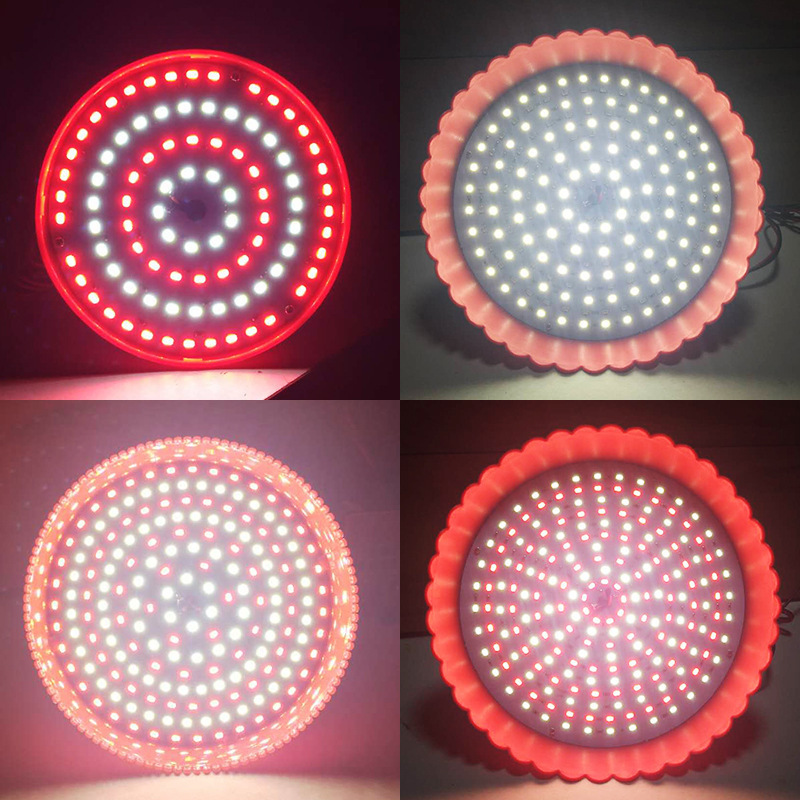 24w E27 fresh pork light dish cooked food vegetables fruit seafood light Meat LED Lamp 12V 85-265V low voltage fresh lamp