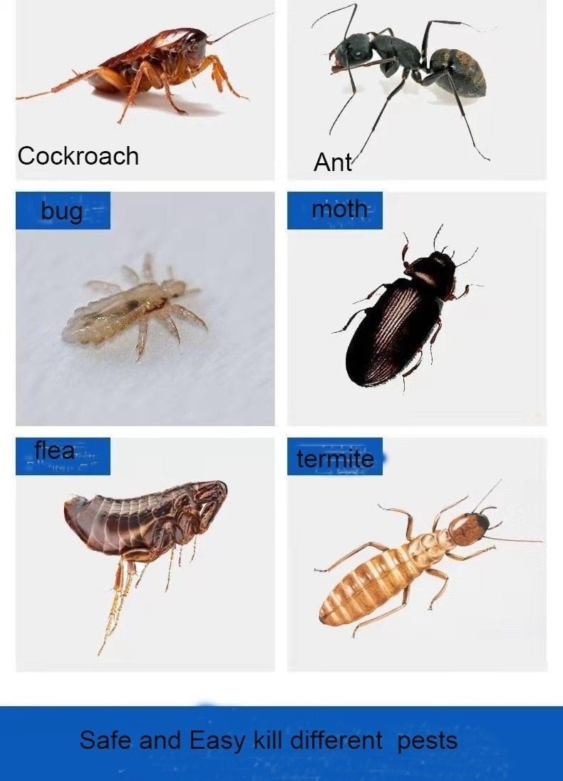 powerful pest control products ants termites cockroaches killer powder bedbugs bugs insecticide powder insect killer