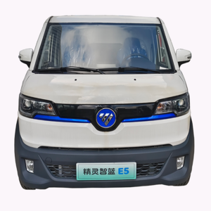 Hot sales in 2023 2510kg RHD electric mini vans made in China electric box truck