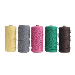 5 Colors 2mm Natural Cotton Twisted Cord Rope Macrame Linen for Packaging Colorful Natural Twisted Rope