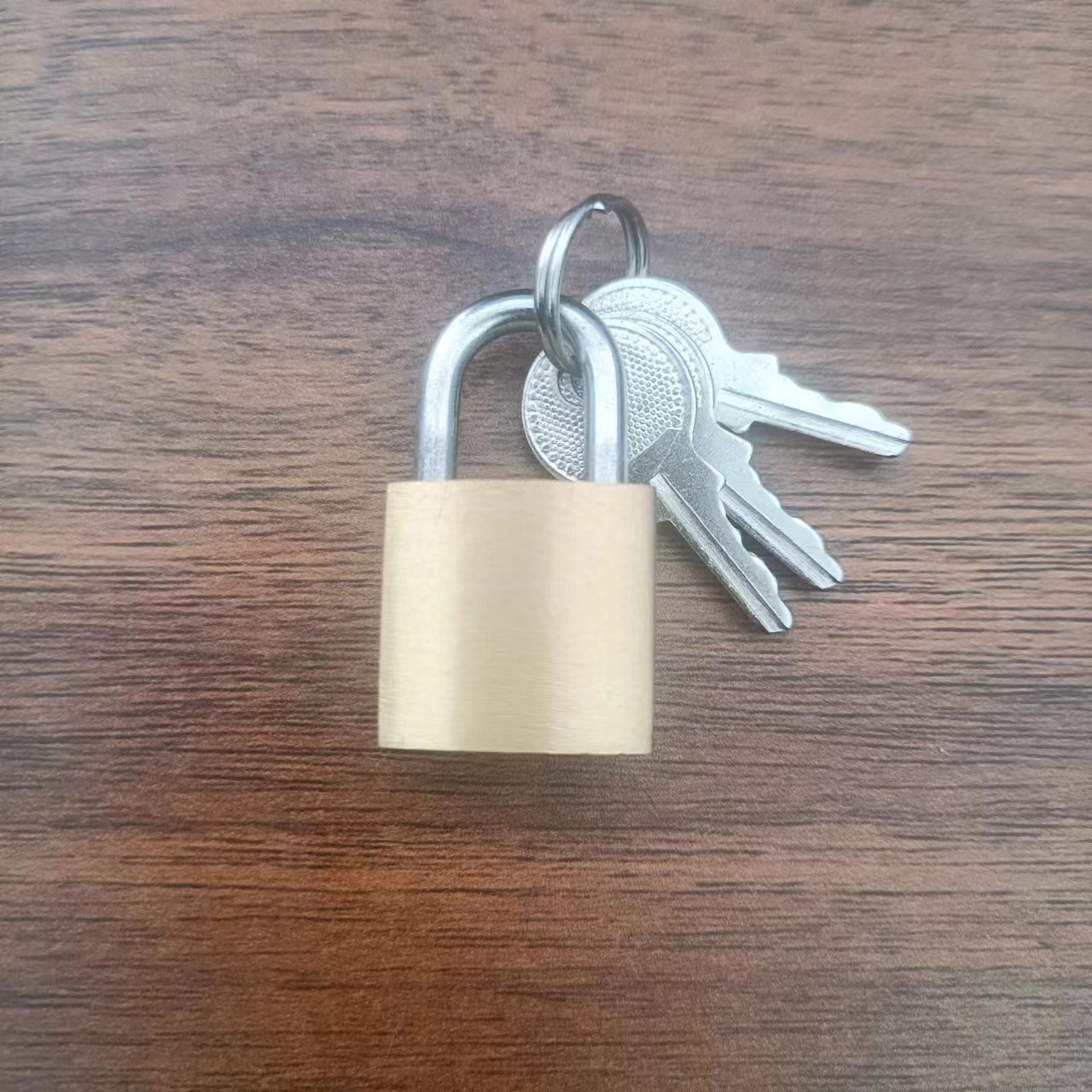 Stainless Steel small 20mm brass cylinder ready stock padlock